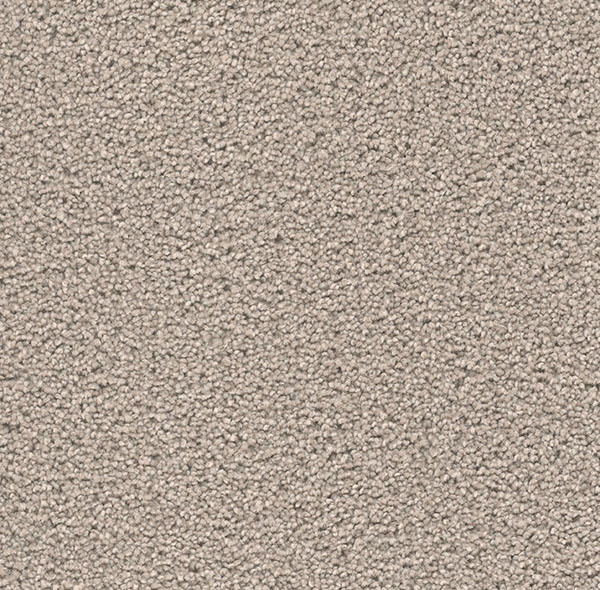 Blockbuster Plus Carpet Roll – AED 69 per m²