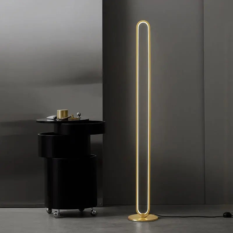 Oval Liner Golden LED Floor Lamp Luxury Casa
