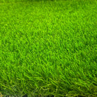 Premium NatureTouch Turf Roll 50 MM Lush Green Luxury Casa