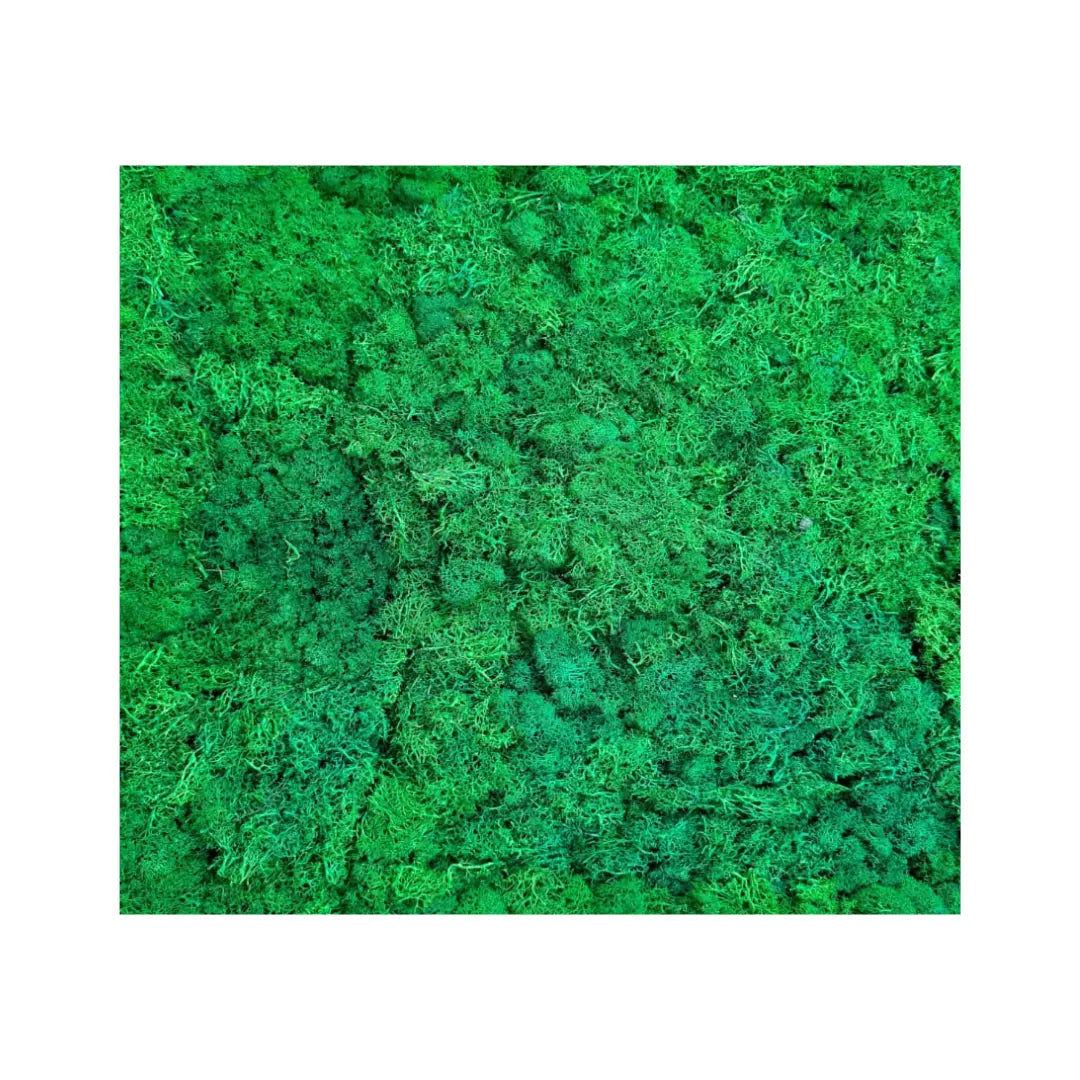 Real Touch Moose Wall 50x50 cm Luxury Casa