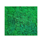 Real Touch Moose Wall 50x50 cm Luxury Casa