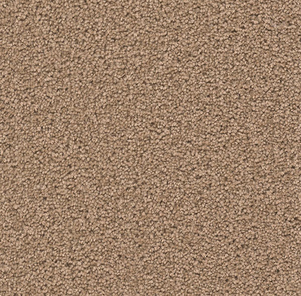 Blockbuster Plus Carpet Roll – AED 69 per m²