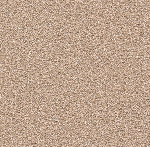 Blockbuster Plus Carpet Roll – AED 69 per m²