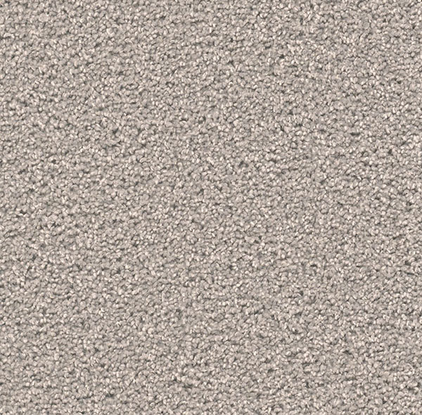 Blockbuster Plus Carpet Roll – AED 69 per m²