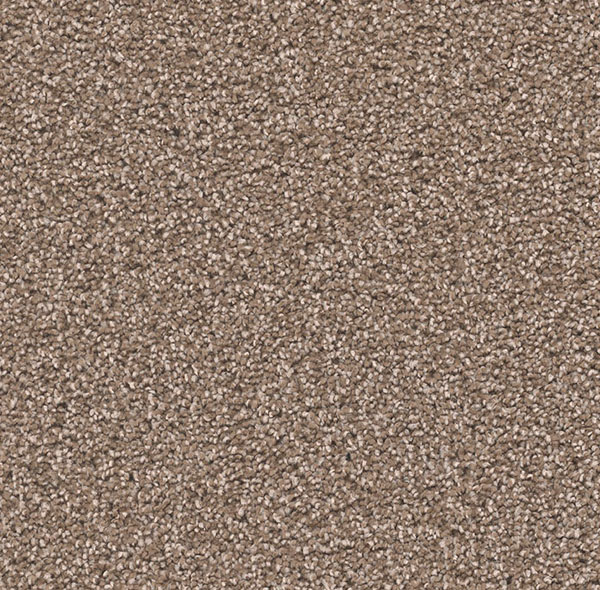 Blockbuster Plus Carpet Roll – AED 69 per m²