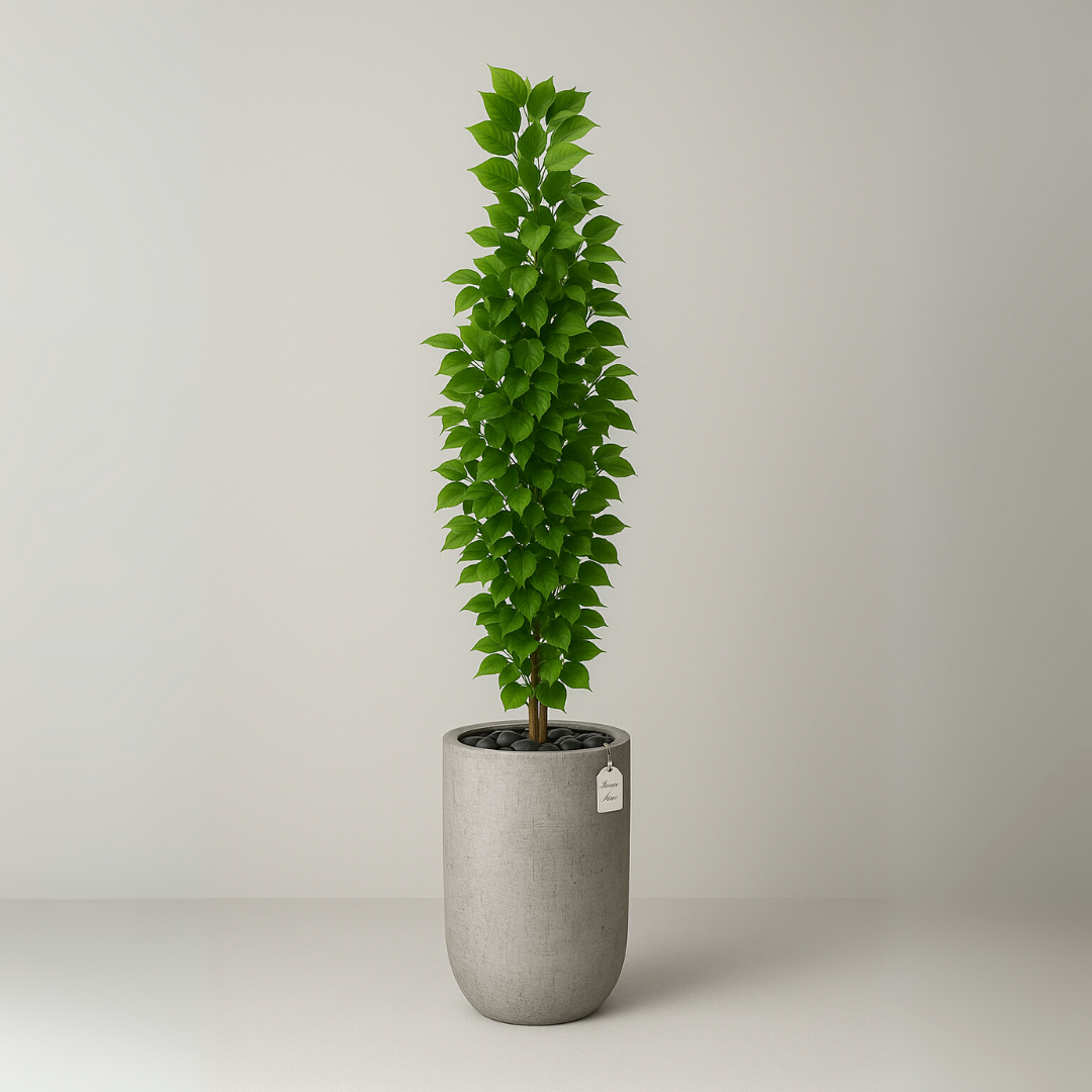 Artificial Ficus Tree 150 cm Luxury Casa