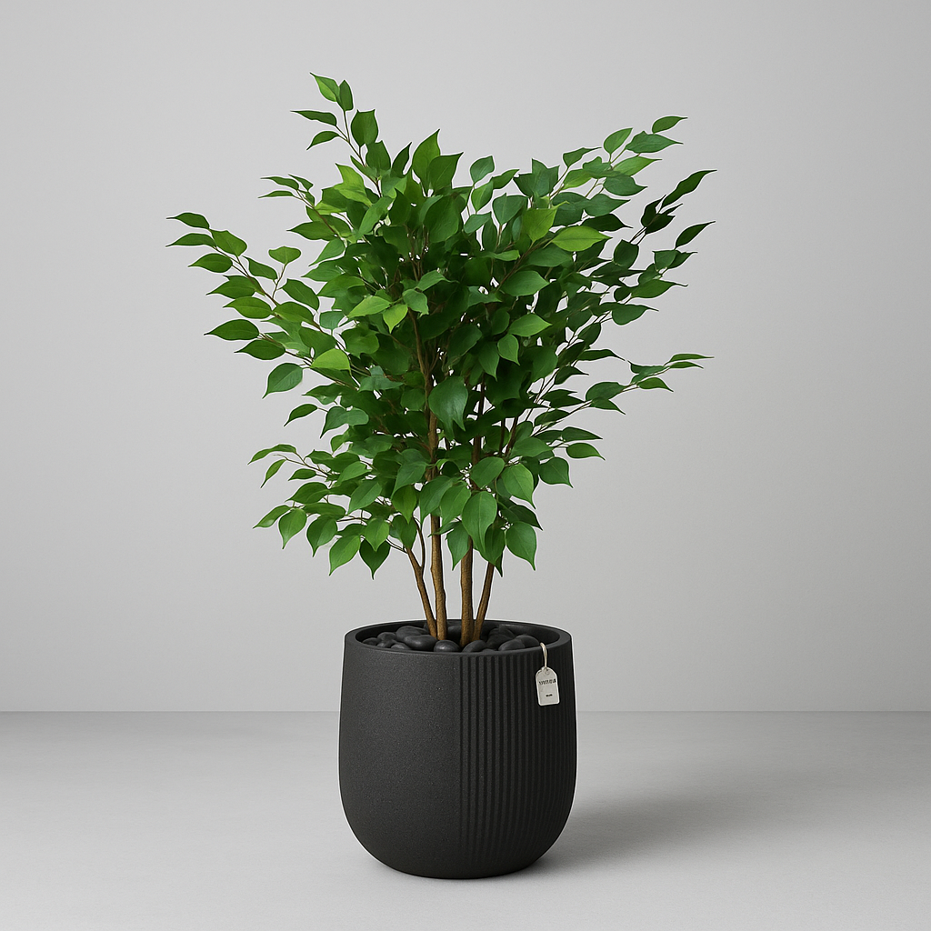 Artificial Ficus Tree With Natural Wooden Trunk 120 Cm Luxury Casa