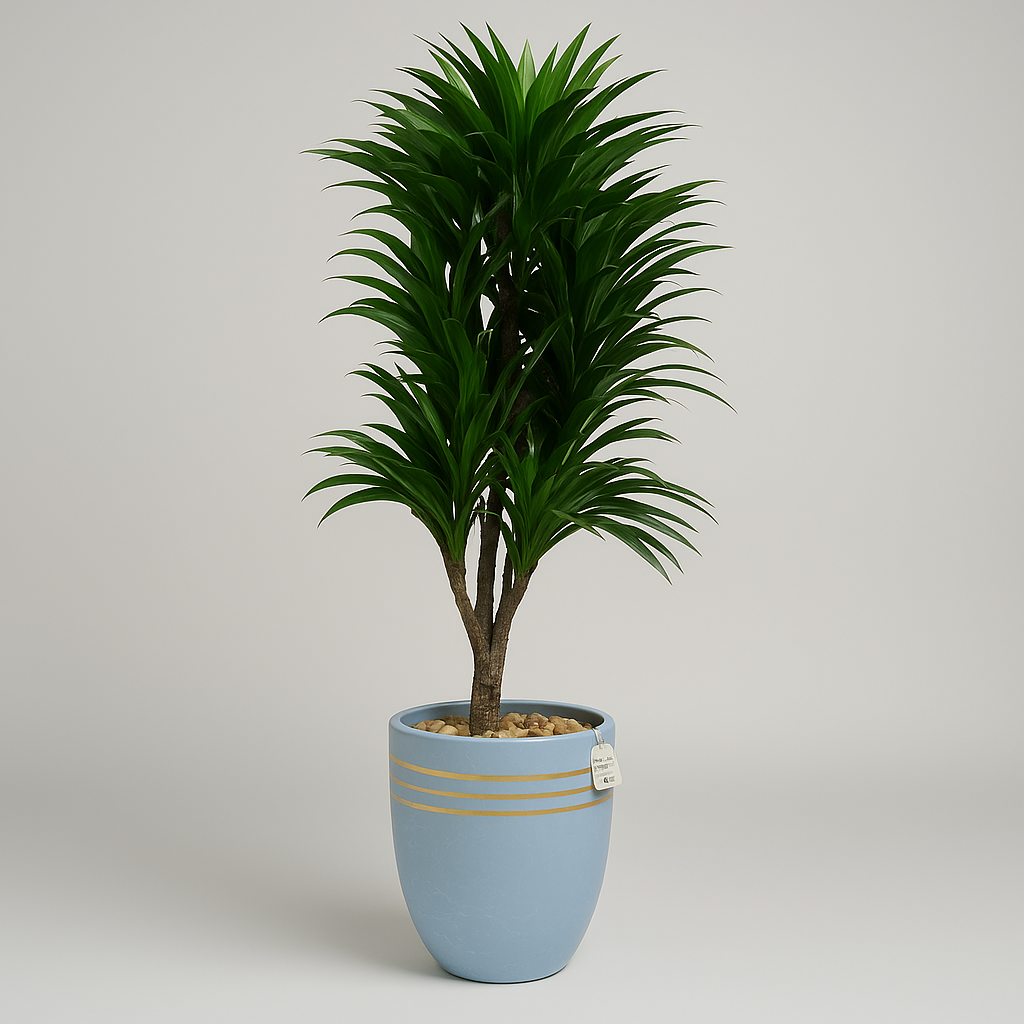 Artificial Dracaena Tree 120 cm Luxury Casa