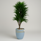 Artificial Dracaena Tree 120 cm Luxury Casa