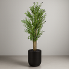Artificial Olive Tree With Natural Wooden Trunk 210 cm Luxury Casa