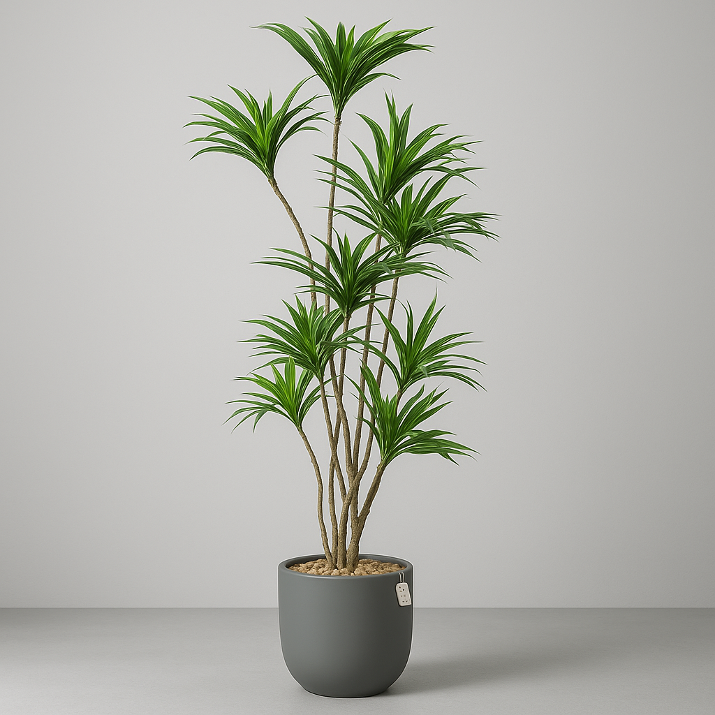Artificial Dracaena Tree 150 cm Luxury Casa
