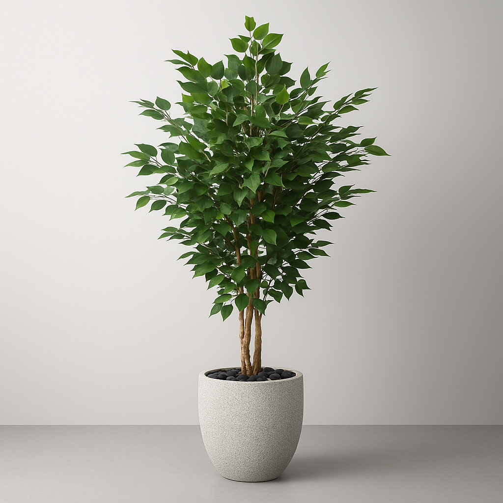Artificial Ficus Tree With Natural Wooden Trunk 180 Cm Luxury Casa