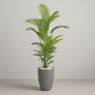 Artificial Palm Tree 180 cm Luxury Casa