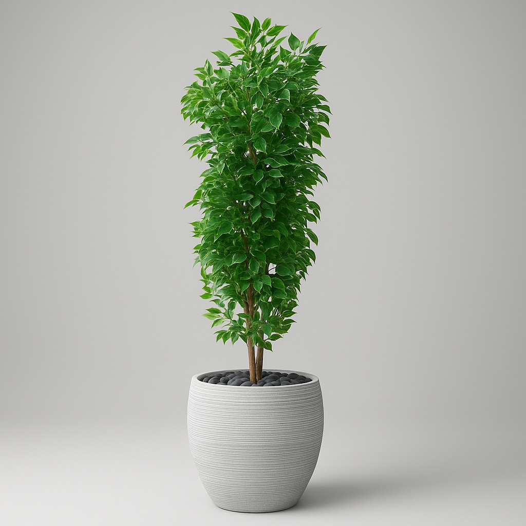 Artificial Ficus Tree With Natural Wooden Trunk 300 cm Luxury Casa