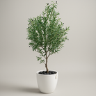 Artificial Olive Tree 210 cm Luxury Casa