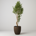 Artificial Olive Tree 250 cm Luxury Casa