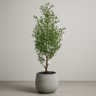 Artificial Olive Tree 250 cm Luxury Casa