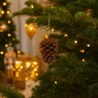 Natural Pine Cones Pack Luxury Casa